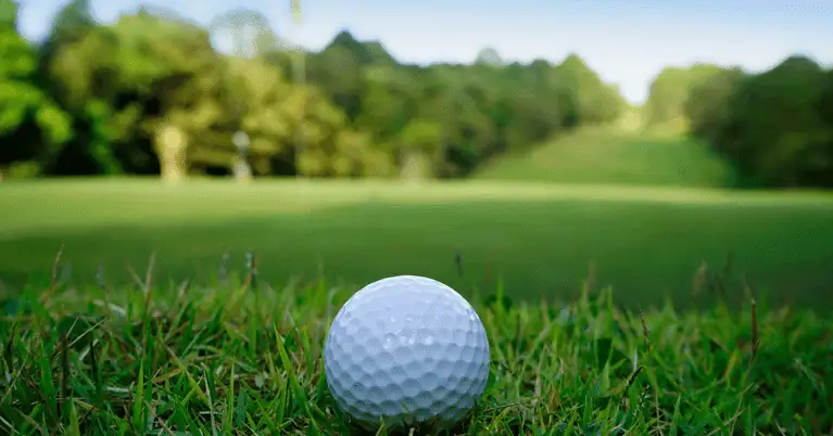 Special Event Transportations Special Event Transportations